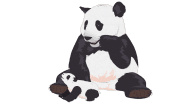 Cute Sneezing Panda