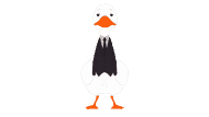 Duck President